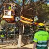 El districte de Sants-Montjuïc planta 446 arbres nous aquest segon semestre de 2026