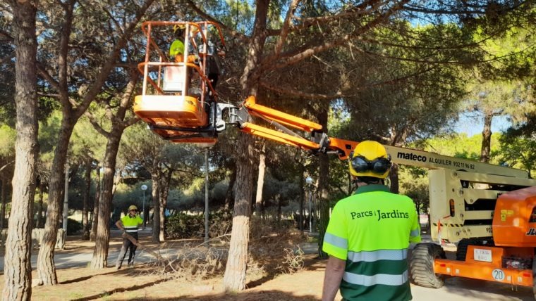 Sants-Montjuïc planta 446 arbres nous